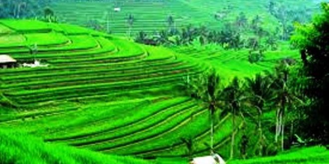 Jadwal Imsakiyah Puasa Ramadhan Kabupaten Sleman Tahun Ini