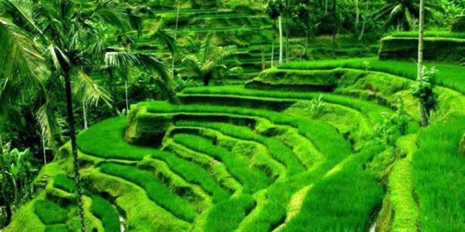 Jadwal Puasa Ramadhon Kabupaten Soppeng Tahun Ini