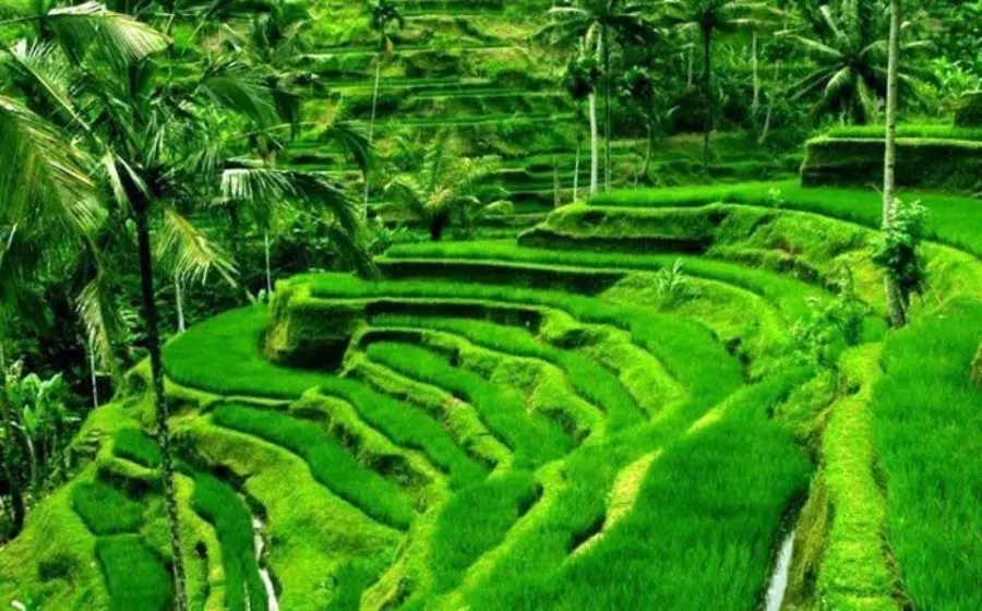 Jadwal Puasa Ramadhon Kabupaten Soppeng Tahun Ini