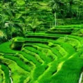 Jadwal Puasa Ramadhon Sumba Barat Daya Tahun Ini