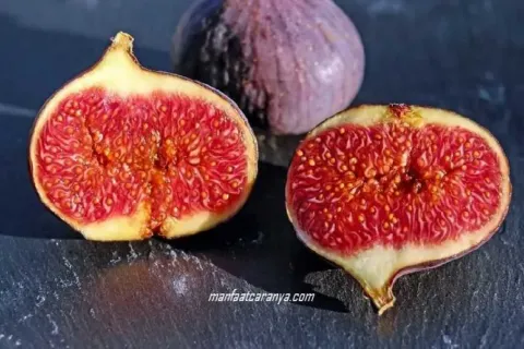 23 Manfaat Buah Tin untuk Kesehatan dan Kandungannya