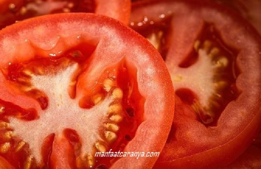 23 Manfaat Tomat dan Kandunganya, Khasiat Buah Sayur yang Terlupakan