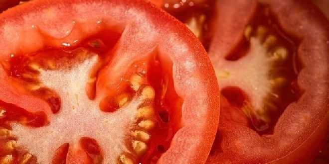 23 Manfaat Tomat dan Kandunganya, Khasiat Buah Sayur yang Terlupakan