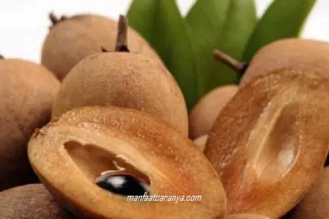 Aneka Manfaat Sawo mulai Kesehatan hingga Kecantikan