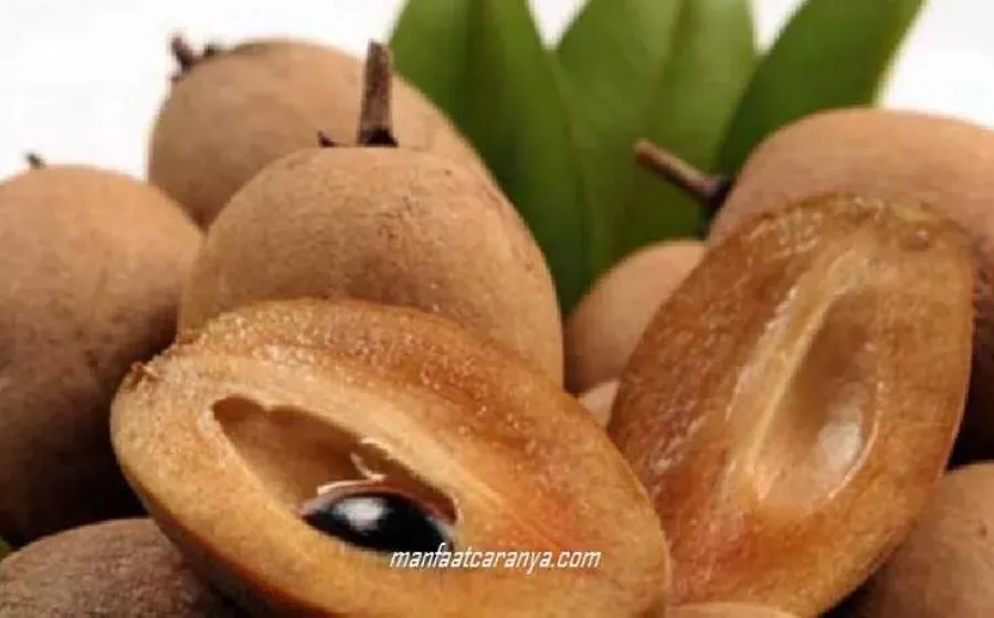 Aneka Manfaat Sawo mulai Kesehatan hingga Kecantikan