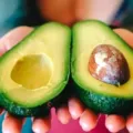 Harga Alpukat Per Kg Terbaru Bulan Ini