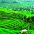 Jadwal Imsakiyah Puasa Ramadhan Kabupaten Tuban Tahun Ini