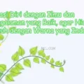 Kata Kata Bijak Akhir Bulan Terbaru