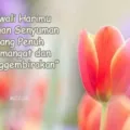 Kata Kata Bijak Awal Bulan Terbaru