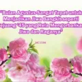 Kata Kata Bijak Bulan Agustus Penuh Motivasi