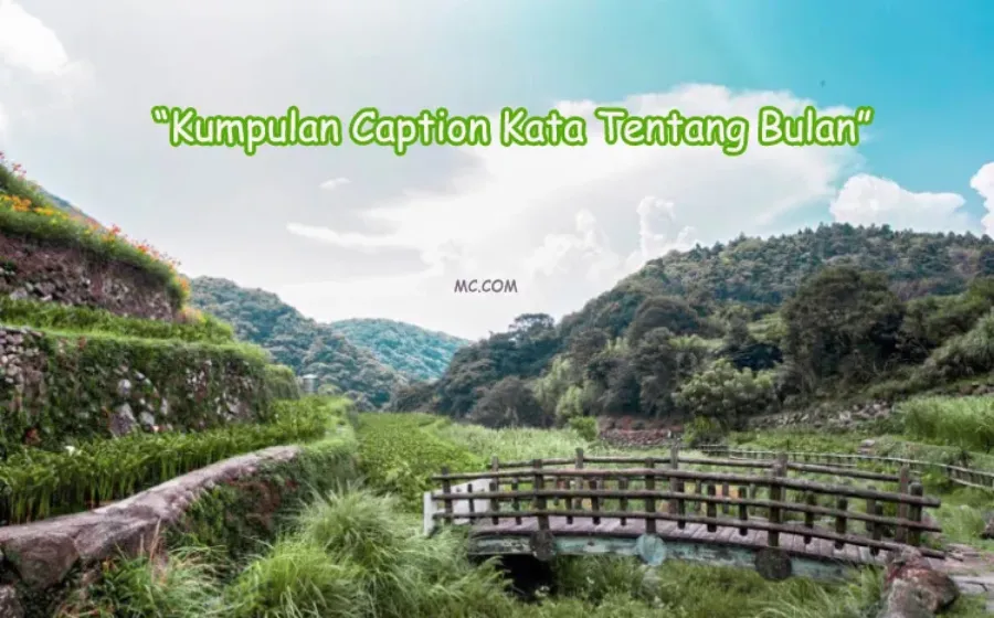 Kumpulan Caption Kata Tentang Bulan Terkini