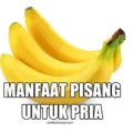 Manfaat Buah Pisang untuk Vitalitas Pria