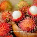 Manfaat Buah Rambutan untuk Kesehatan, Nomor 5 Wanita Harus Tahu