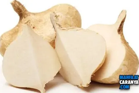 5 Cara Membuat Krim Pemutih Dengan Bahan Alami