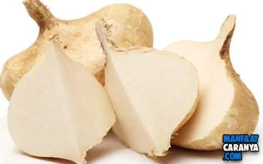 5 Cara Membuat Krim Pemutih Dengan Bahan Alami