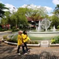 Biaya Pendidikan Program Study Akuntansi Universitas Indonesia