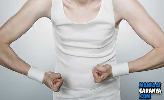 Cara Menaikkan Berat Badan Dengan Bahan Alami