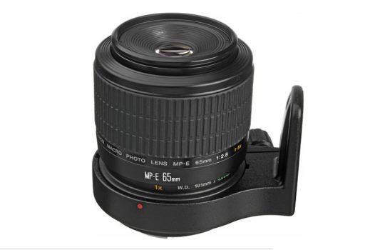Harga Lensa Kamera Canon MP E65mm f2.8 1 5x Macro Photo Baru Bekas Terbaru
