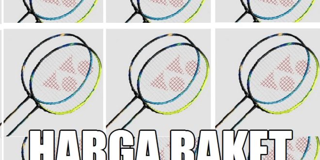 Harga Raket Bulu Tangkis Alat Olahraga Badminton