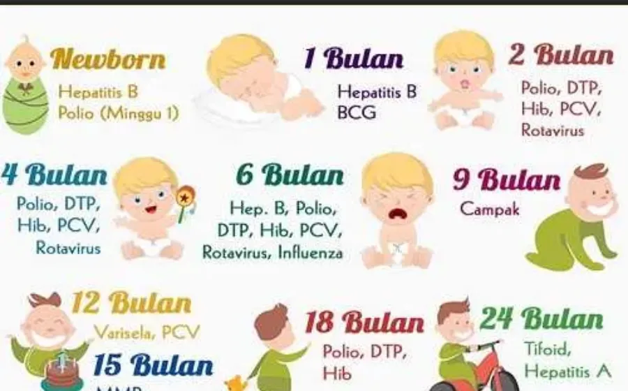 Jadwal Imunisasi Anak dan Bayi