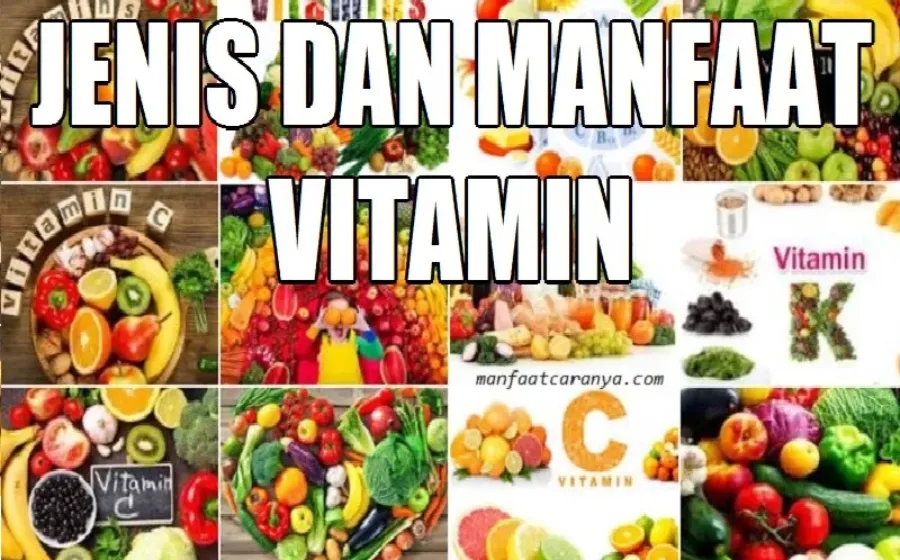 Jenis dan Manfaat Vitamin yang Perlu Diketahui