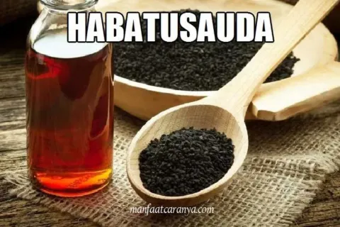 Manfaat Habatusauda Jintan Hitam Obat segala Penyakit