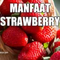 Manfaat Strawberry untuk Kesehatan Manusia