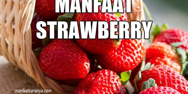 Manfaat Strawberry untuk Kesehatan Manusia