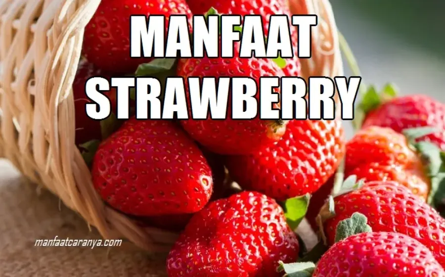 Manfaat Strawberry untuk Kesehatan Manusia