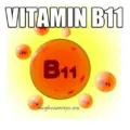Manfaat VItamin B11 dan Sumber Bahannya