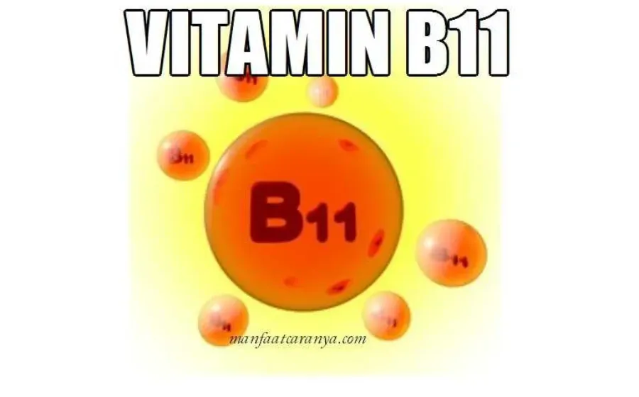 Manfaat VItamin B11 dan Sumber Bahannya