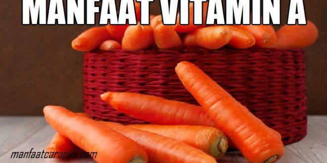 Manfaat Vitamin A untuk Tubuh Manusia