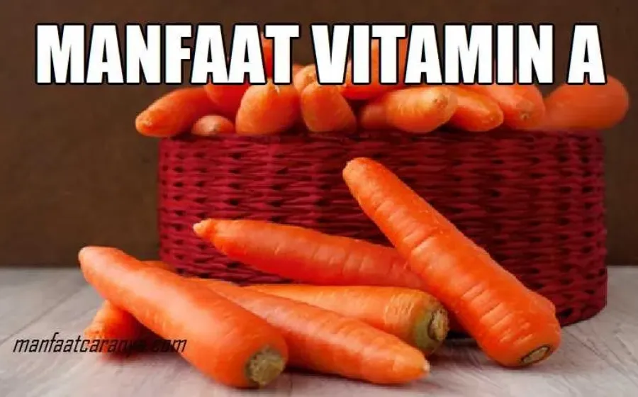 Manfaat Vitamin A untuk Tubuh Manusia