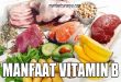 Manfaat Vitamin B dan Jenisnya