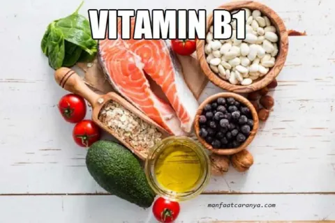 Manfaat Vitamin B1 untuk Kesehatan