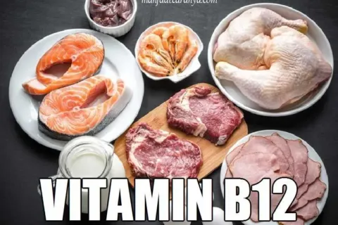 Manfaat Vitamin B12 dan Contoh Sumbernya