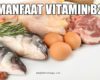Manfaat Vitamin B2 untuk Kesehatan