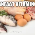 Manfaat Vitamin B2 untuk Kesehatan