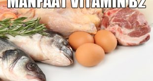 Manfaat Vitamin B2 untuk Kesehatan