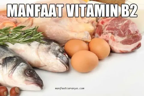 Manfaat Vitamin B2 untuk Kesehatan