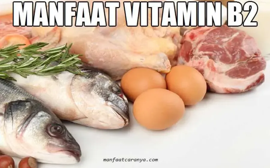 Manfaat Vitamin B2 untuk Kesehatan