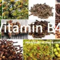 Manfaat Vitamin B4, Khasiat Bahan Cengkeh