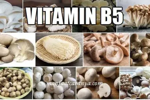 Manfaat Vitamin B5 dan Contoh Asupannya