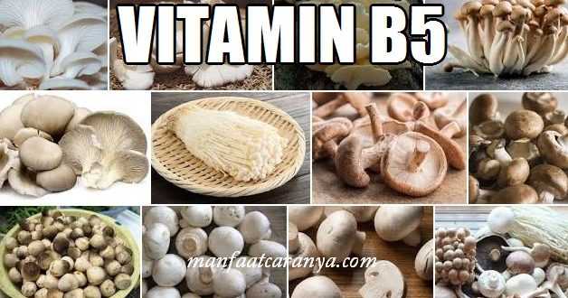 Manfaat Vitamin B5 dan Contoh Asupannya
