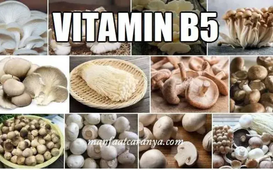 Manfaat Vitamin B5 dan Contoh Asupannya