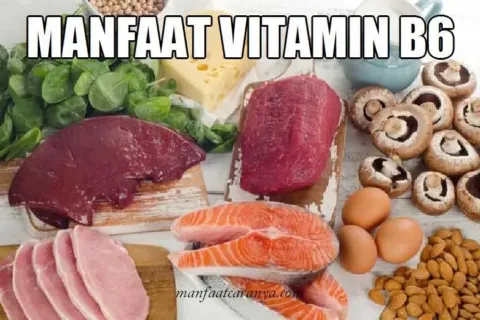 Manfaat Vitamin B6 Mengenal Pyridoxine Lebih Jauh