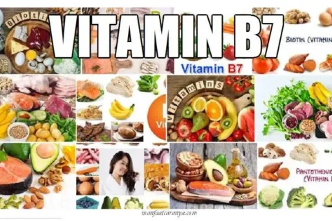 Manfaat Vitamin B7 dan Sumber Asupannya