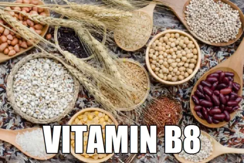 Manfaat Vitamin B8 dan Contoh Asupan Inositol