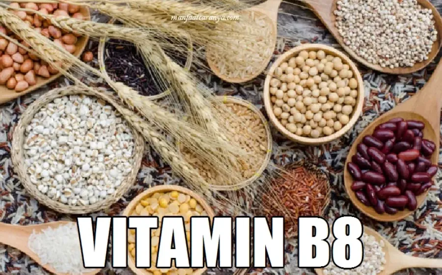 Manfaat Vitamin B8 dan Contoh Asupan Inositol