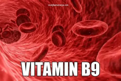 Manfaat Vitamin B9 Asam Folat untuk Anemia